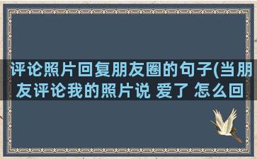 评论照片回复朋友圈的句子(当朋友评论我的照片说 爱了 怎么回复)